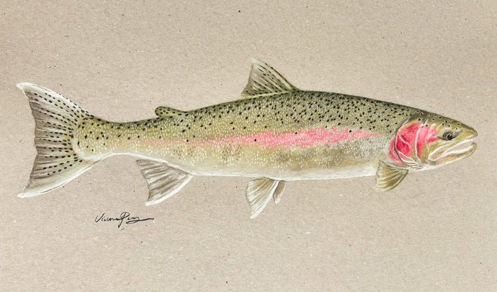 Custom Fish Painting