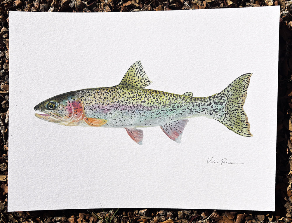 Custom Fish Painting