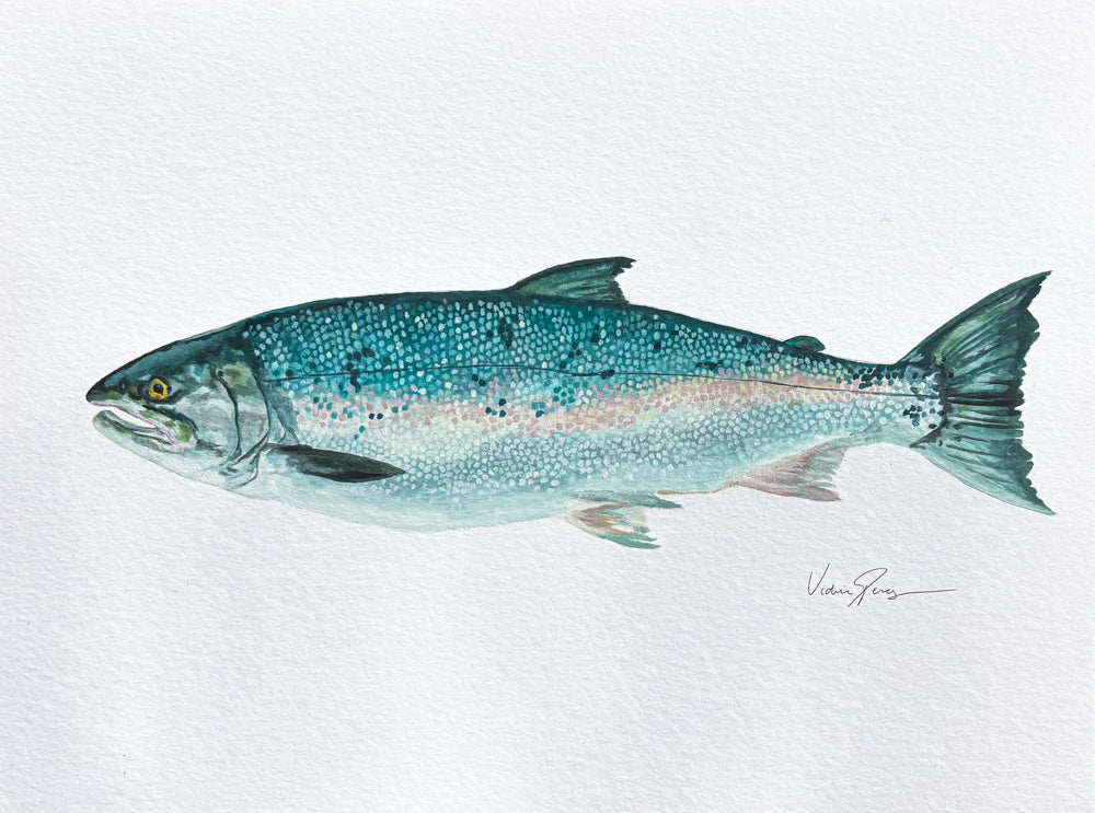Custom Fish Painting